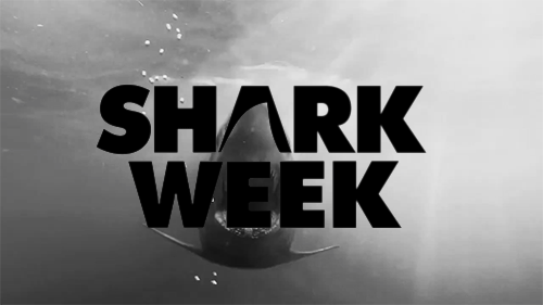Porn photo oddjordann:  Shark Week starts Sunday!  omg