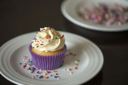 fattributes:  Vanilla Cupcake 