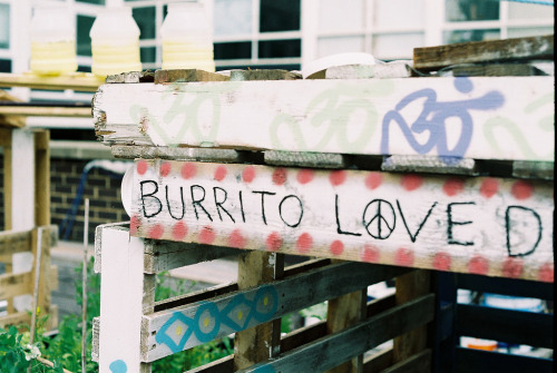 floralibus:  Burrito Love Den (by George Hayford-Taylor) 