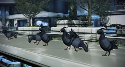 n0l4n:  zaeedmassani:  m99-saber:  those funny pigeons with horns on the Citadel  obviously those are some fierce fringes right there   They are the most magnificent species in the galaxy    omg they&rsquo;re pigeon Tookies