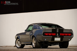 automotivated:  IMG_0985 GT500 Shelby Mustang