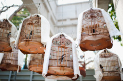 truthe:  beautiful birdcages by Celine Kim on Flickr. 