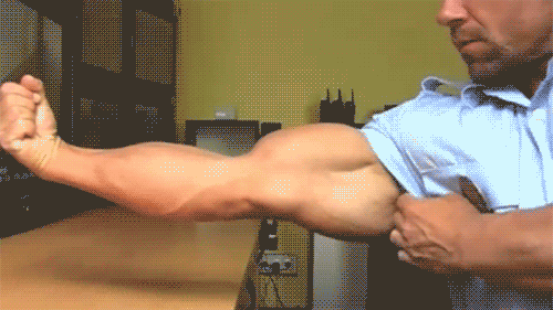 musclelover:  Bicep contraction animated gif 