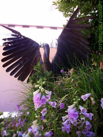 Walnut Creek, CA