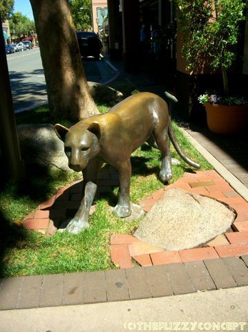 Walnut Creek, CA