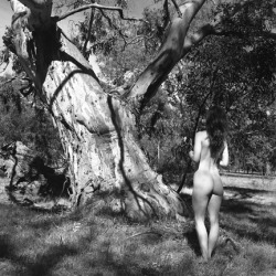 joannaartmodel333:  David Tatnall Woodland