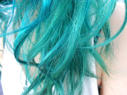yourbowtieiswonky:  My hair! 
