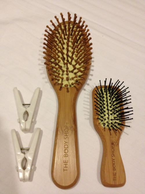 2 clothes pegs, regular-sized wooden hairbrush (handle: 4 inches in length, 1 ¼ inches across), mini wooden hairbrush (handle: 1 ¾ inches in length, 1 inch across).