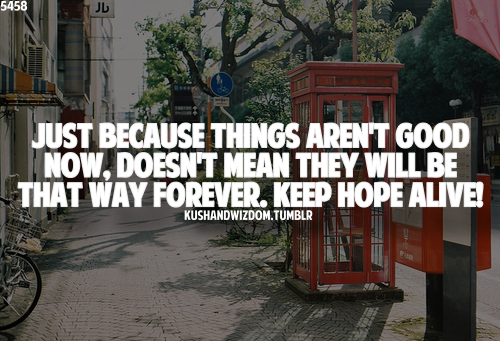 live it up