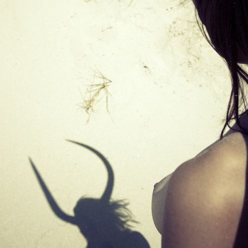 Devilish matthieusoudet:  Copyright Matthieu SOUDET