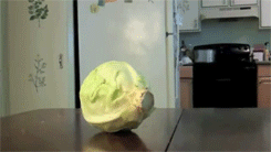 lazyarn:  slybadger:  pleatedjeans:  dog steals cabbage [video]  omg it’s wee face in the bottom photo.  that is a gorgeous canine!