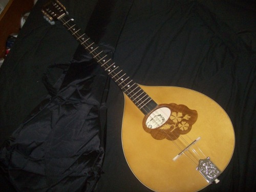 So while I was in Bucharest, I bought myself a bouzouki&ndash;partly so I could claim experience in 