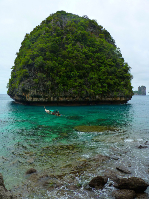 salaampuja:   The mysterious island that was actually a lion turtle It’s real 