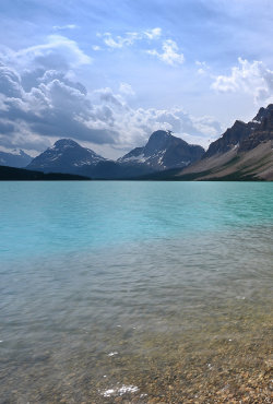 mydearmilo:  Bow Lake 