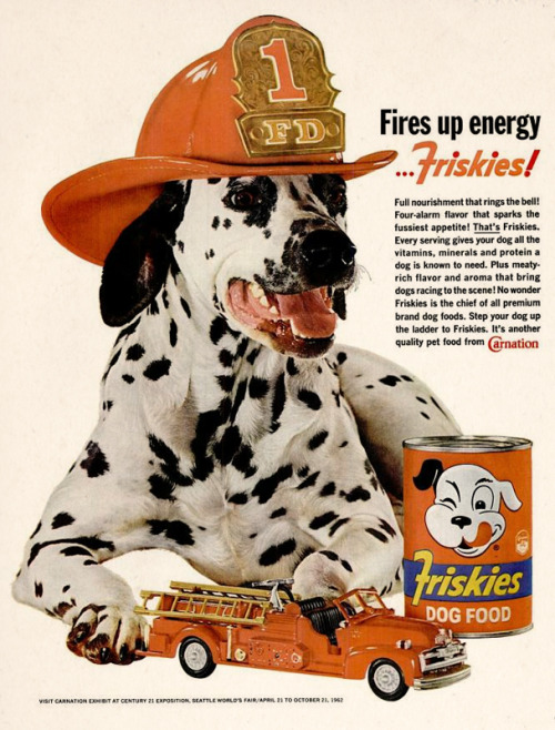 Friskies Dog Food, 1962