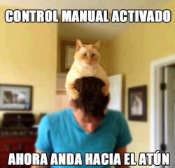 Control remoto gatuno