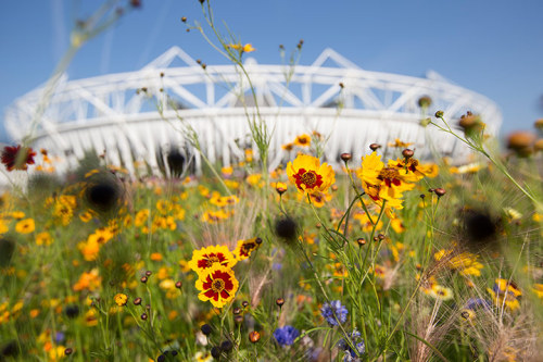 Until the paralympics then… Photograph: David Levene for the Guardian