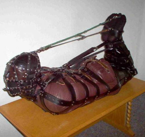 trussed:  A few of my favorite hogties
