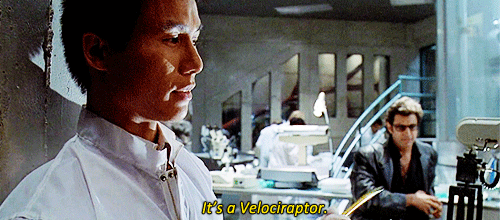 i aim to misbehave
