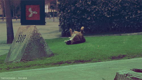 valee-vergara:  todisappe4r:  qosita mas rica &lt;3333333  Csm menos mal nadie