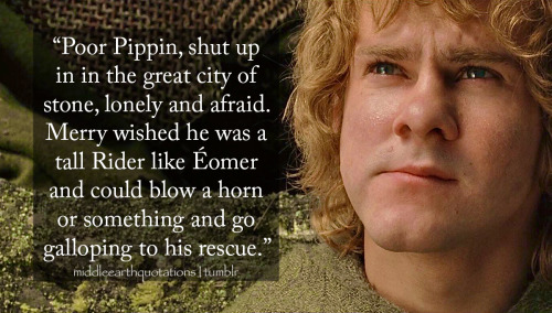 - About Merry missing Pippin, The Return of the King, Book V, The Ride of the Rohirrim