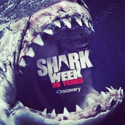 mjadeep:  My favorite week of the year. #SharkWeek