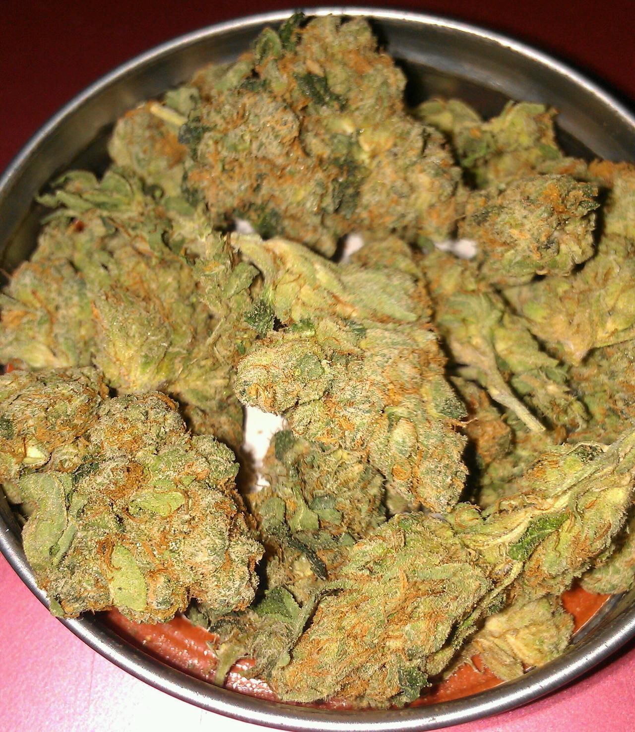ashinkusher420:  dank nugs make me a happy camper.