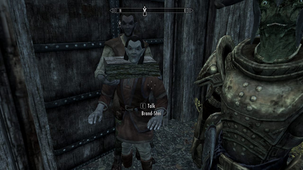It is my belief that Riften is the most glitchy city&hellip;or they&rsquo;re