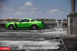 ford-mustang-generation:  crash—test: 