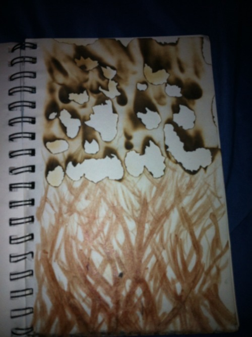 last time i tried making art i used my blood and set the paper on fire
