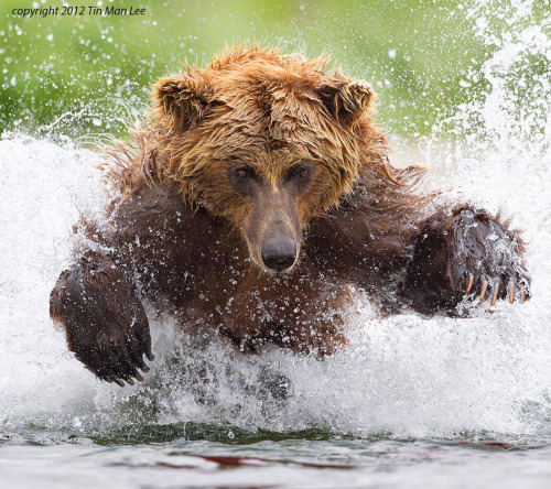 magicalnaturetour:  “Be Afraid: ” by Tin Man:)