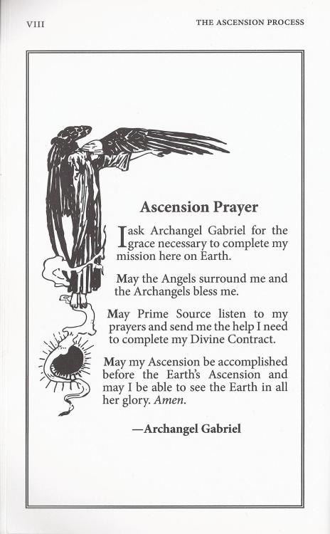 From the shelves of The Lightbrary i bring you all a sneak peak of &lsquo;The Ascension Process&