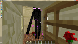 ender-friend:  I FOUND AN ENDERMAN IN THIS