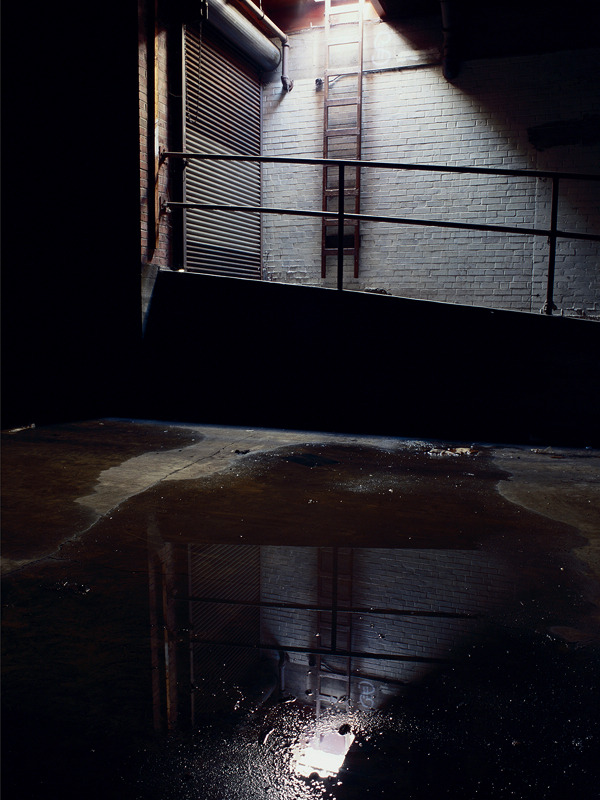 fiore-rosso:  katherine westerhout. 