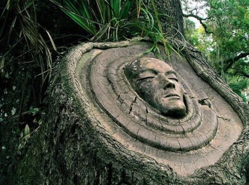 o-dyssea:  ☾ indie, nature , spiritual here ☆