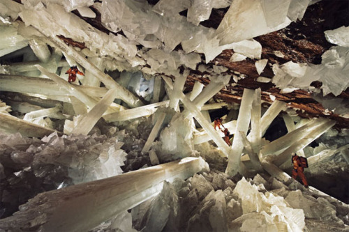 kabutocub:  pizzzatime:  Cueva de los Cristales, Mexico  All I see is Superman’s Fortress of Solitude. :P