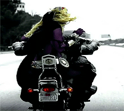 we ♥ gaga