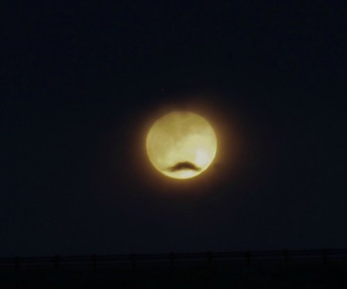 mytardishaswings:  will2bill:  paarthurnax-forever:  garethbyrd:  the-shortest-sunflower:  evening, sir.  MOONSTACHE  I just had to reblog. because moonstache  This need a Moonacle.  THEN IT WOULD BE THE PRINGLES MAN 