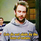 annperkins:  favorite quotes from “it’s always sunny in philadelphia” → Charlie Kelly 