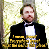 annperkins:  favorite quotes from “it’s always sunny in philadelphia” → Charlie Kelly 