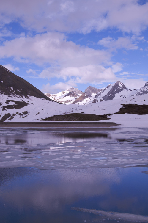mydearmilo:  Icy May 