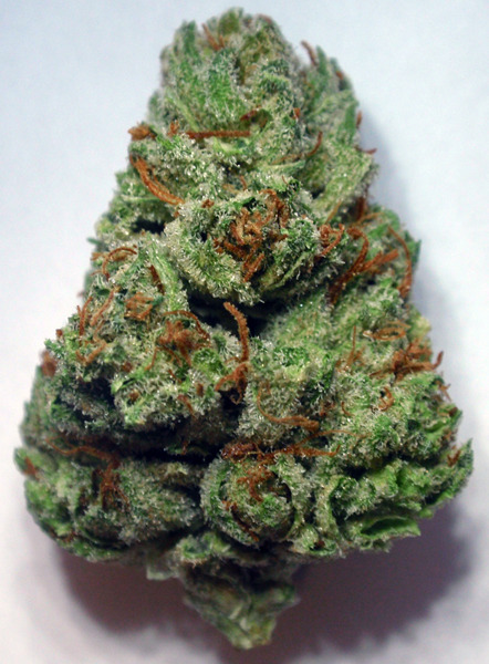 bl0winonmedicinal:  Tahoe OG 
