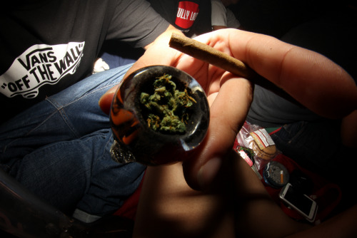 westcoaststoner420:  . 