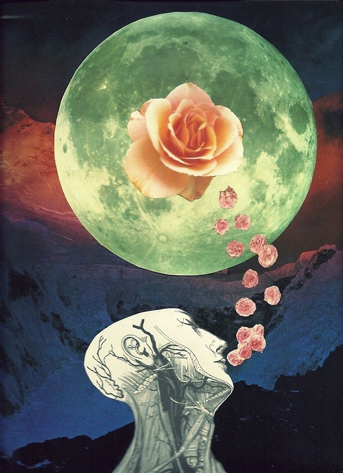 Nature dreams