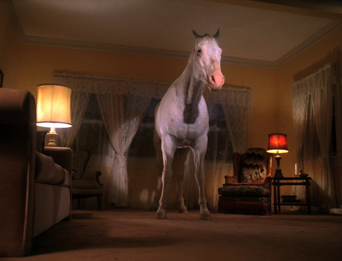The white horse that appears to Sarah Palmer before Maddy’s death in “Episode 14” 