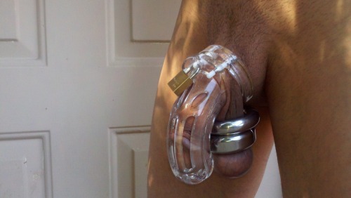 ChastityRocks