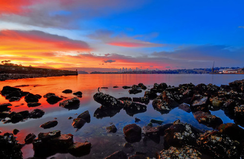lum4:  Oyster Shell Sunrise by Peter Anthony on Flickr. 