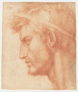 thisblueboy:  Andrea del Sarto, Study for the head of Julius Caesar, ca.1520-21, Metropolitan Museum of Art, New York 