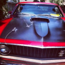 my-lynn:  #mustang #mach1 #1967 ❤  (Taken