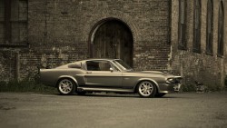 Ford Mustangs